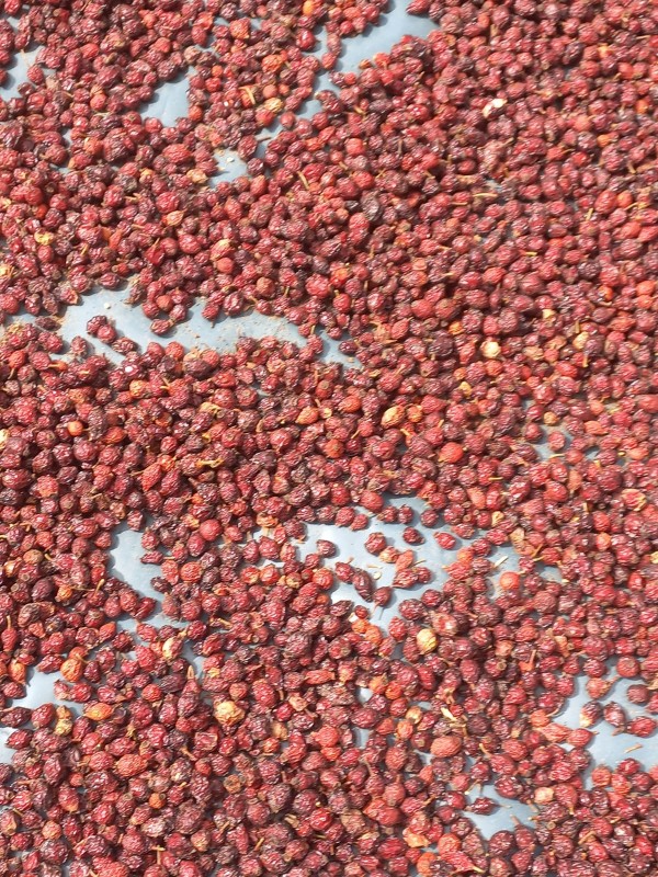 Rosehip from Lesotho